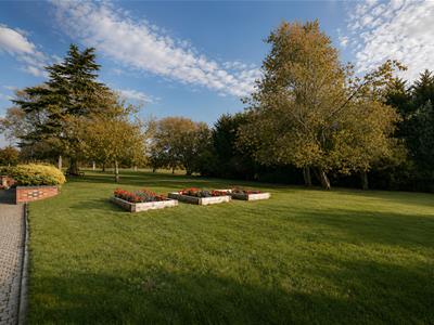 Picture 20